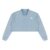 Gray Blue